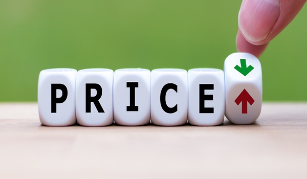 Featured Image of Nemilichery Pallavaram Price