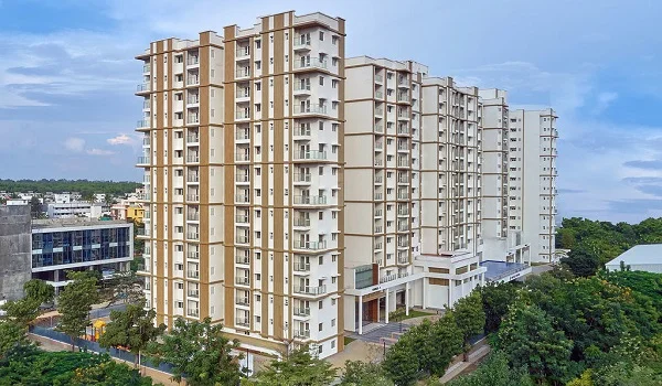 Featured Image of Prestige Forest Edge